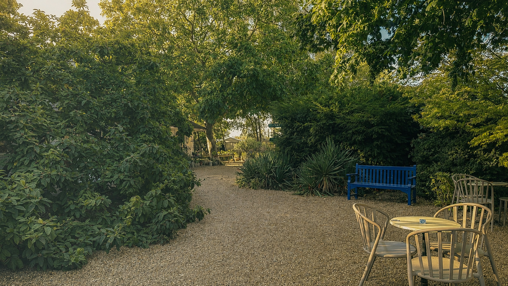 Gravel garden path with blue bench and outdoor seating at Midpines Cafe