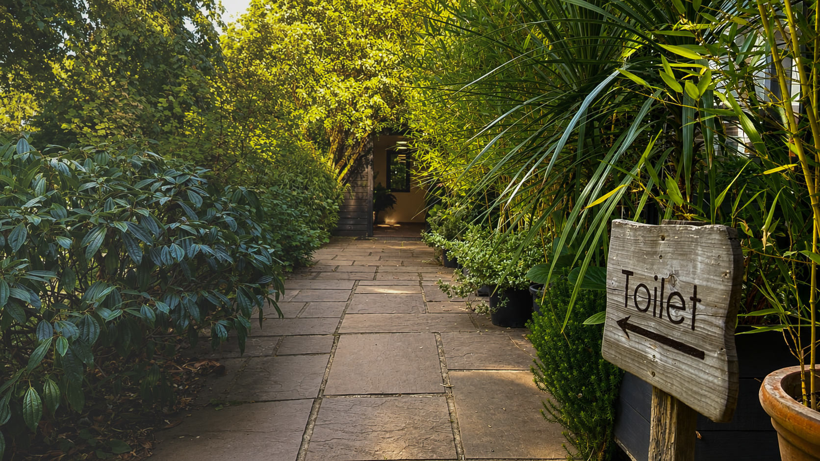 Outdoor seating under mature trees